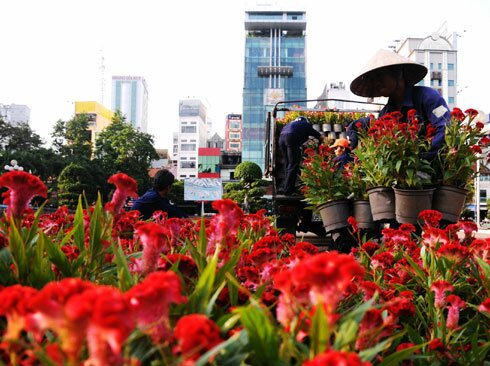 Sổ tay du lịch so tay du lich Sotaydulich Sotay Dulich Khampha Kham Pha Bui Sài Gòn trang hoàng đón Tết Quý Tỵ