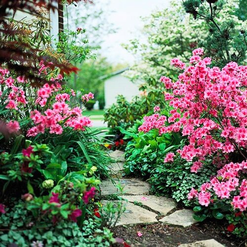 Sổ tay du lịch so tay du lich Sotaydulich Sotay Dulich Khampha Kham Pha Bui Lối mòn hoa những con đường lãng mạn