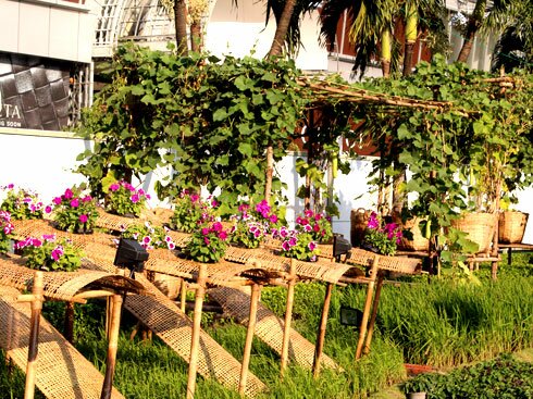Sổ tay du lịch so tay du lich Sotaydulich Sotay Dulich Khampha Kham Pha Bui Đường hoa Nguyễn Huệ trước giờ khai mạc