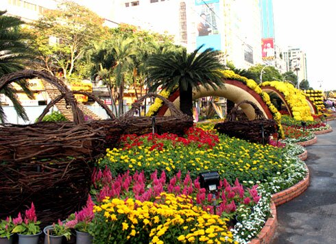 Sổ tay du lịch so tay du lich Sotaydulich Sotay Dulich Khampha Kham Pha Bui Đường hoa Nguyễn Huệ trước giờ khai mạc