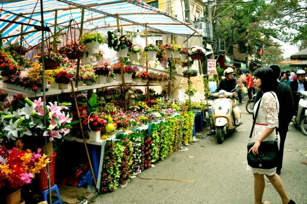 Sổ tay du lịch so tay du lich Sotaydulich Sotay Dulich Khampha Kham Pha Bui Chợ hoa tết Hàng Lược