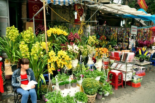 Sổ tay du lịch so tay du lich Sotaydulich Sotay Dulich Khampha Kham Pha Bui Chợ hoa tết Hàng Lược