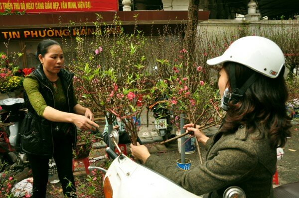 Sổ tay du lịch so tay du lich Sotaydulich Sotay Dulich Khampha Kham Pha Bui Chợ hoa tết Hàng Lược