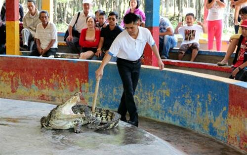 Sổ tay du lịch so tay du lich Sotaydulich Sotay Dulich Khampha Kham Pha Bui Mùng 3 ra biển Cần Giờ