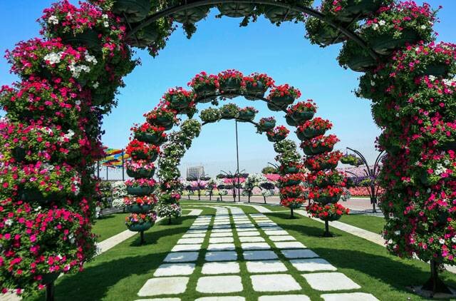 Sổ tay du lịch so tay du lich Sotaydulich Sotay Dulich Khampha Kham Pha Bui Dubai Miracle Garden Công viên hoa lớn nhất thế giới