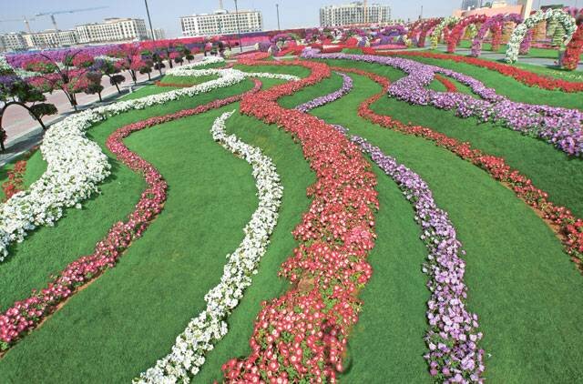 Sổ tay du lịch so tay du lich Sotaydulich Sotay Dulich Khampha Kham Pha Bui Dubai Miracle Garden Công viên hoa lớn nhất thế giới