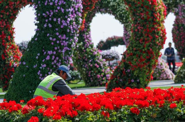 Sổ tay du lịch so tay du lich Sotaydulich Sotay Dulich Khampha Kham Pha Bui Dubai Miracle Garden Công viên hoa lớn nhất thế giới