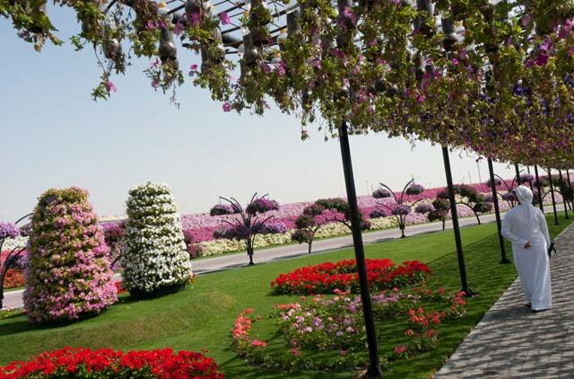 Sổ tay du lịch so tay du lich Sotaydulich Sotay Dulich Khampha Kham Pha Bui Dubai Miracle Garden Công viên hoa lớn nhất thế giới