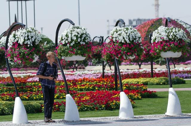 Sổ tay du lịch so tay du lich Sotaydulich Sotay Dulich Khampha Kham Pha Bui Dubai Miracle Garden Công viên hoa lớn nhất thế giới