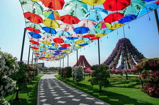 Sổ tay du lịch so tay du lich Sotaydulich Sotay Dulich Khampha Kham Pha Bui Dubai Miracle Garden Công viên hoa lớn nhất thế giới