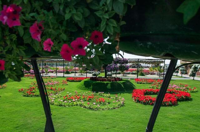 Sổ tay du lịch so tay du lich Sotaydulich Sotay Dulich Khampha Kham Pha Bui Dubai Miracle Garden Công viên hoa lớn nhất thế giới
