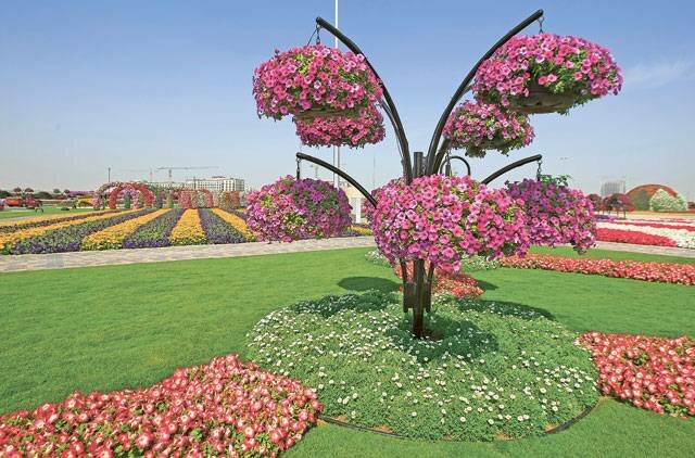 Sổ tay du lịch so tay du lich Sotaydulich Sotay Dulich Khampha Kham Pha Bui Dubai Miracle Garden Công viên hoa lớn nhất thế giới