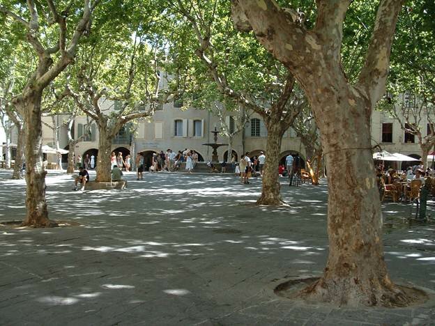 Sổ tay du lịch so tay du lich Sotaydulich Sotay Dulich Khampha Kham Pha Bui Saint Tropez Thánh địa du lịch
