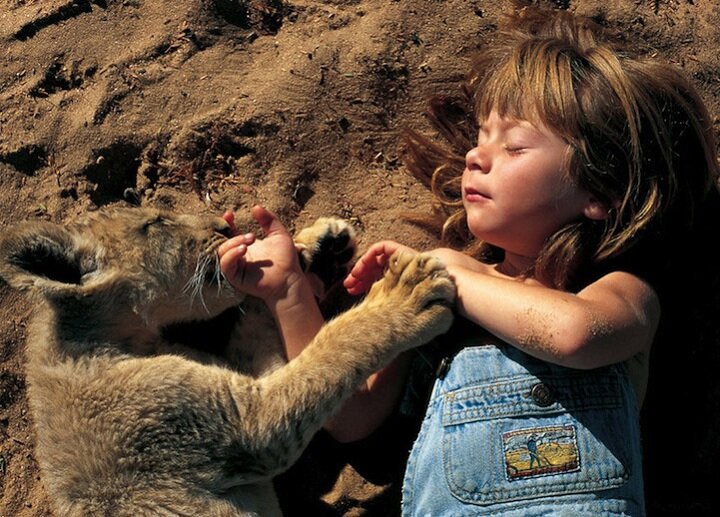 Sổ tay du lịch so tay du lich Sotaydulich Sotay Dulich Khampha Kham Pha Bui Tippi bạn của các loài động vật hoang dã châu Phi