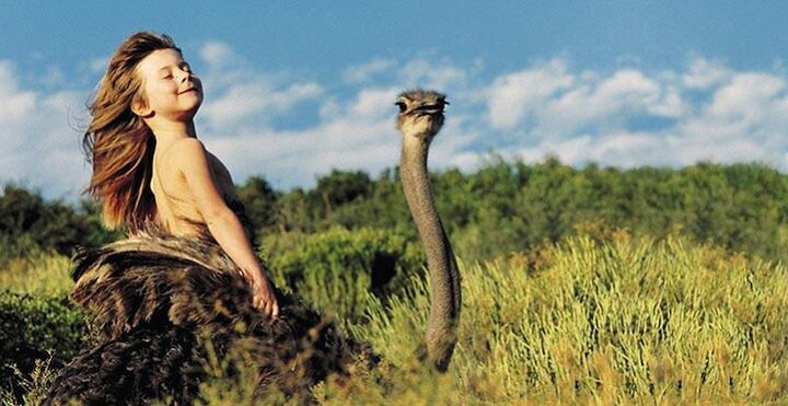 Sổ tay du lịch so tay du lich Sotaydulich Sotay Dulich Khampha Kham Pha Bui Tippi bạn của các loài động vật hoang dã châu Phi