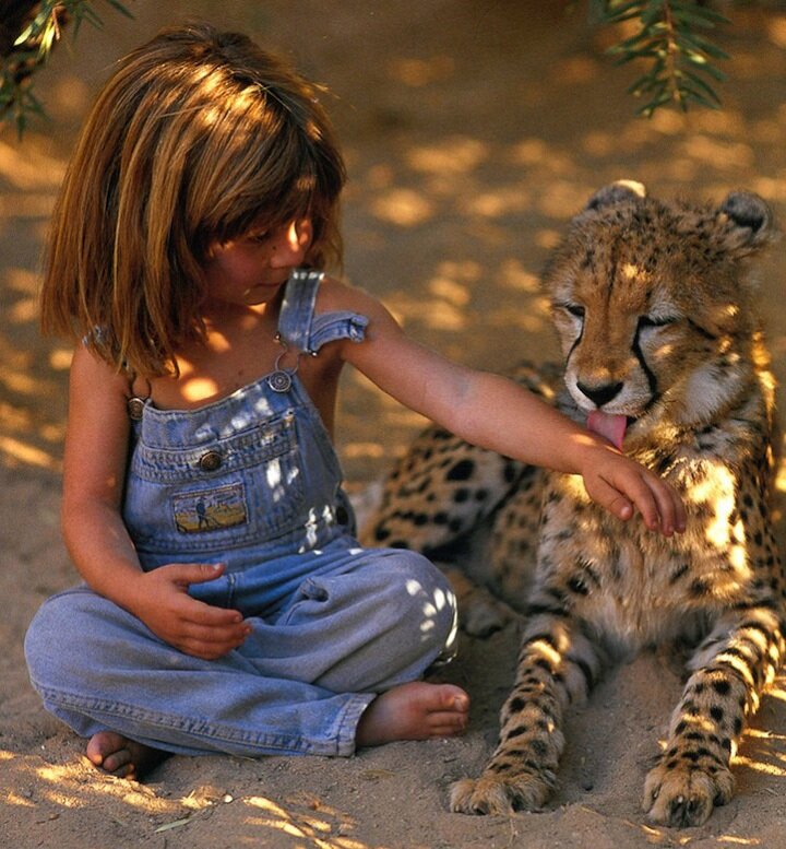 Sổ tay du lịch so tay du lich Sotaydulich Sotay Dulich Khampha Kham Pha Bui Tippi bạn của các loài động vật hoang dã châu Phi