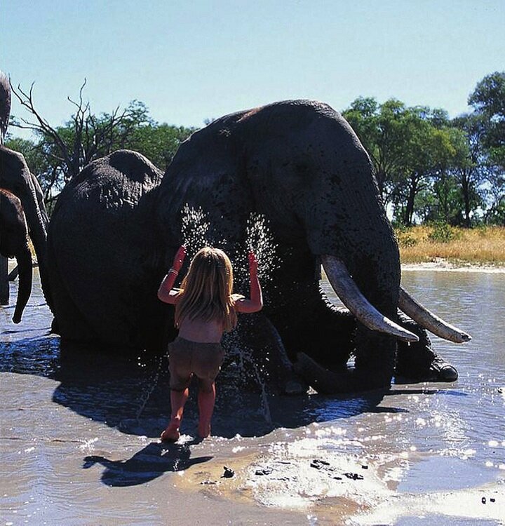 Sổ tay du lịch so tay du lich Sotaydulich Sotay Dulich Khampha Kham Pha Bui Tippi bạn của các loài động vật hoang dã châu Phi