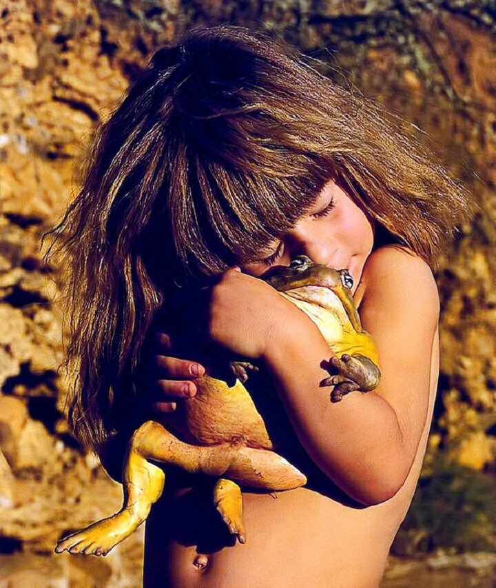 Sổ tay du lịch so tay du lich Sotaydulich Sotay Dulich Khampha Kham Pha Bui Tippi bạn của các loài động vật hoang dã châu Phi