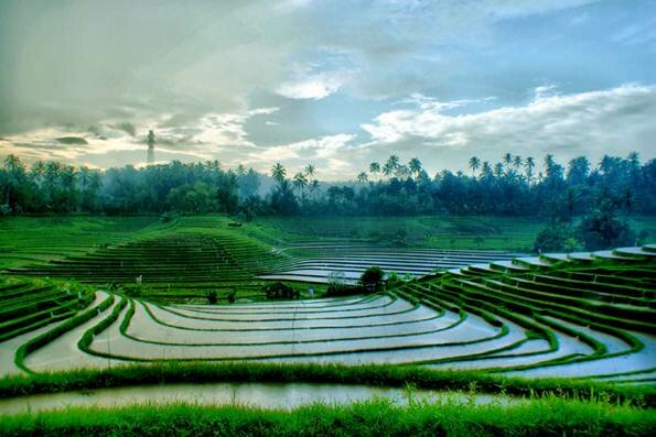 Sổ tay du lịch so tay du lich Sotaydulich Sotay Dulich Khampha Kham Pha Bui Dung dị Bali
