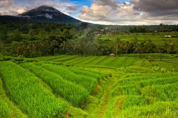 Sổ tay du lịch so tay du lich Sotaydulich Sotay Dulich Khampha Kham Pha Bui Dung dị Bali