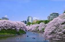 Sổ tay du lịch so tay du lich Sotaydulich Sotay Dulich Khampha Kham Pha Bui Du lich du thuyen kham pha nhat ban dai loan Trải nghiệm hải trình Tokyo Kobe Naha Taipei