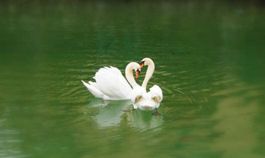 Sổ tay du lịch so tay du lich Sotaydulich Sotay Dulich Khampha Kham Pha Bui Lãng mạn Annecy 