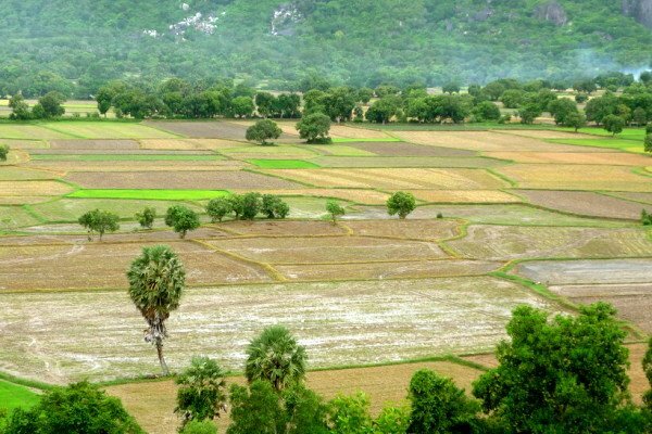 Sổ tay du lịch so tay du lich Sotaydulich Sotay Dulich Khampha Kham Pha Bui An Giang cũng có ruộng bậc thang