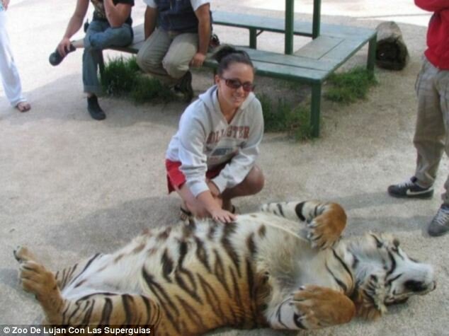 Sổ tay du lịch so tay du lich Sotaydulich Sotay Dulich Khampha Kham Pha Bui Zoo de Lujan nơi du khách có thể hôn sư tử