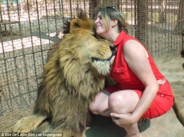 Sổ tay du lịch so tay du lich Sotaydulich Sotay Dulich Khampha Kham Pha Bui Zoo de Lujan nơi du khách có thể hôn sư tử