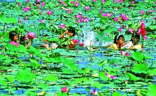 Sổ tay du lịch so tay du lich Sotaydulich Sotay Dulich Khampha Kham Pha Bui Về Gáo Giồng hưởng hương vị rừng