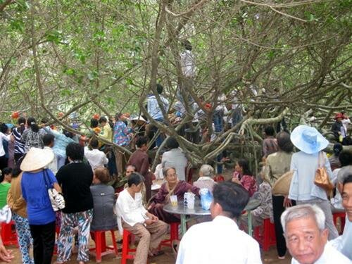 Sổ tay du lịch so tay du lich Sotaydulich Sotay Dulich Khampha Kham Pha Bui Khám phá Giàn Gừa