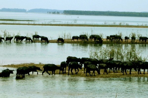 Sổ tay du lịch so tay du lich Sotaydulich Sotay Dulich Khampha Kham Pha Bui Mênh mang mặt nước hồ Dầu Tiếng