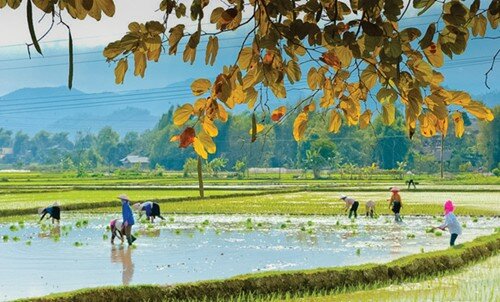 Sổ tay du lịch so tay du lich Sotaydulich Sotay Dulich Khampha Kham Pha Bui Những điều khó quên ở Mường Lò