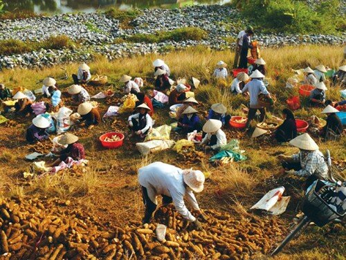 Sổ tay du lịch so tay du lich Sotaydulich Sotay Dulich Khampha Kham Pha Bui Huyền thoại cửa Ba Lạt