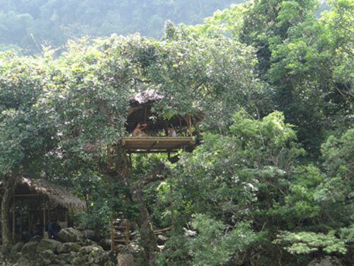 Sổ tay du lịch so tay du lich Sotaydulich Sotay Dulich Khampha Kham Pha Bui Khai trương Nhà hàng tổ chim ở Phong Nha Kẻ Bàng