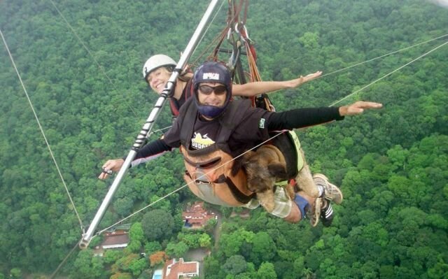 Sổ tay du lịch so tay du lich Sotaydulich Sotay Dulich Khampha Kham Pha Bui Hành trình khắp thế giới của chú chó Oscar