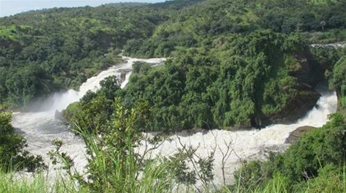 Sổ tay du lịch so tay du lich Sotaydulich Sotay Dulich Khampha Kham Pha Bui Rong chơi dưới tán rừng Murchison