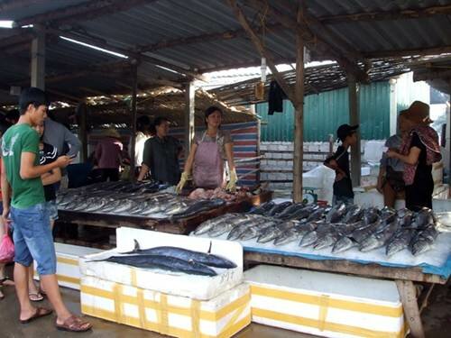 Sổ tay du lịch so tay du lich Sotaydulich Sotay Dulich Khampha Kham Pha Bui Đi chợ cá Cửa Lò