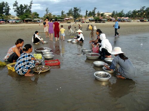 Sổ tay du lịch so tay du lich Sotaydulich Sotay Dulich Khampha Kham Pha Bui Đi chợ cá Cửa Lò