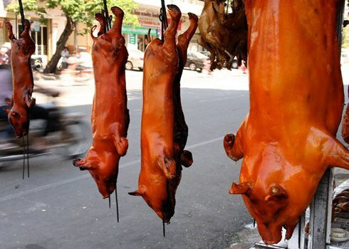 Sổ tay du lịch so tay du lich Sotaydulich Sotay Dulich Khampha Kham Pha Bui Những món ăn đường phố hấp dẫn nhất thế giới.
