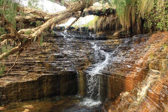 Sổ tay du lịch so tay du lich Sotaydulich Sotay Dulich Khampha Kham Pha Bui Thế giới hoang dã ở Karijini