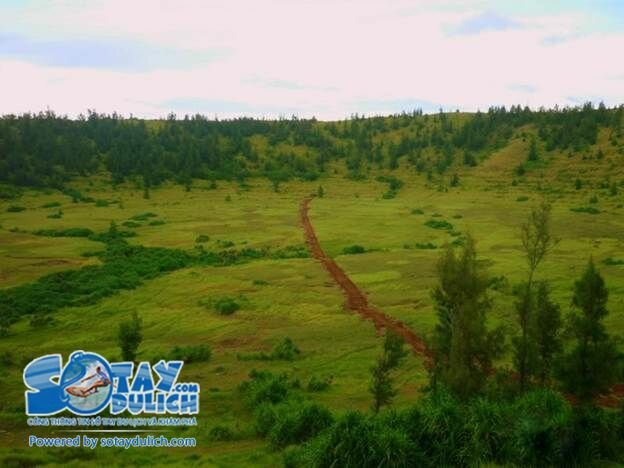 Sổ tay du lịch so tay du lich Sotaydulich Sotay Dulich Khampha Kham Pha Bui Những trải nghiệm không thể bỏ qua khi ra đảo Lý Sơn