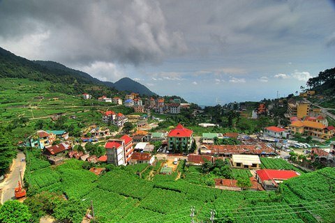 Sổ tay du lịch so tay du lich Sotaydulich Sotay Dulich Khampha Kham Pha Bui Tam Đảo Điều hấp dẫn từ cái tên quen thuộc
