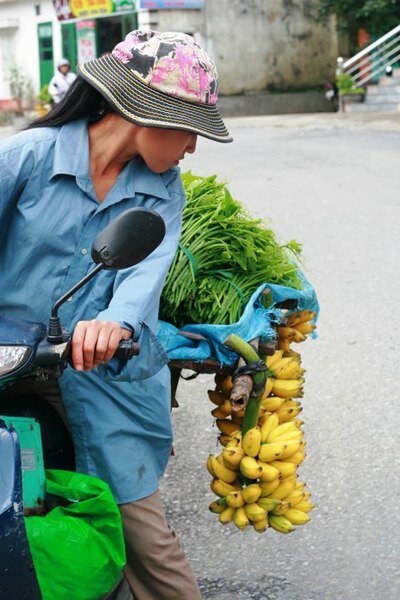 Sổ tay du lịch so tay du lich Sotaydulich Sotay Dulich Khampha Kham Pha Bui Tam Đảo Điều hấp dẫn từ cái tên quen thuộc
