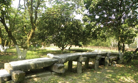 Sổ tay du lịch so tay du lich Sotaydulich Sotay Dulich Khampha Kham Pha Bui Bảo tàng đồ đá trong chùa