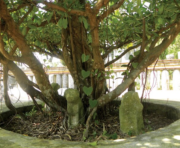 Sổ tay du lịch so tay du lich Sotaydulich Sotay Dulich Khampha Kham Pha Bui Bảo tàng đồ đá trong chùa