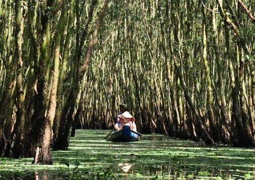 Sổ tay du lịch so tay du lich Sotaydulich Sotay Dulich Khampha Kham Pha Bui Thiên đường các loài chim ở rừng Trà Sư