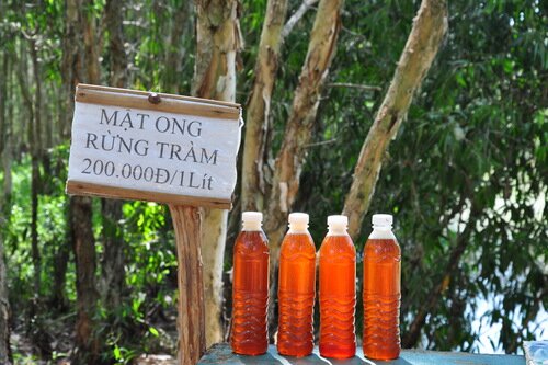 Sổ tay du lịch so tay du lich Sotaydulich Sotay Dulich Khampha Kham Pha Bui Thiên đường các loài chim ở rừng Trà Sư