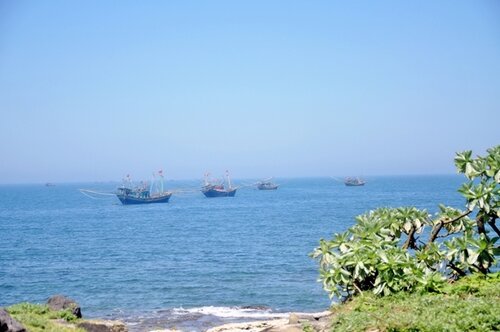 Sổ tay du lịch so tay du lich Sotaydulich Sotay Dulich Khampha Kham Pha Bui Lặn biển ngắm san hô đen ở Cồn Cỏ