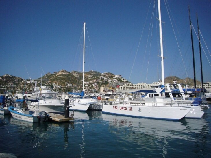 Sổ tay du lịch so tay du lich Sotaydulich Sotay Dulich Khampha Kham Pha Bui Đến với thiên thần Cabo San Lucas của Mexico